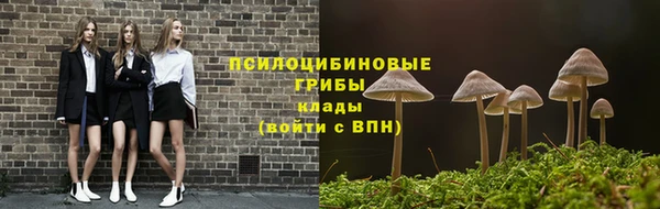 PSILOCYBIN Переславль-Залесский