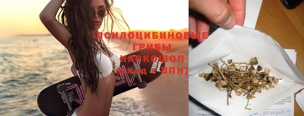 PSILOCYBIN Переславль-Залесский