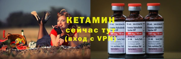 PSILOCYBIN Переславль-Залесский