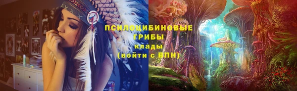 PSILOCYBIN Переславль-Залесский